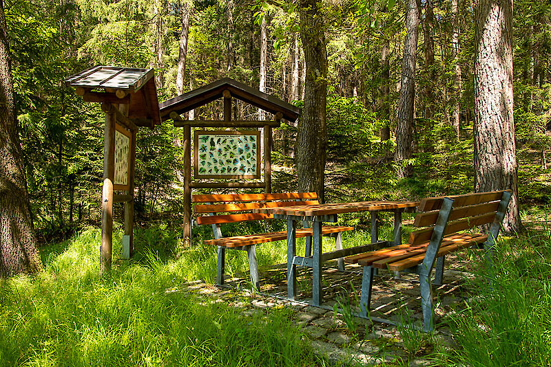 Wandern im Kötztinger Land Bayern